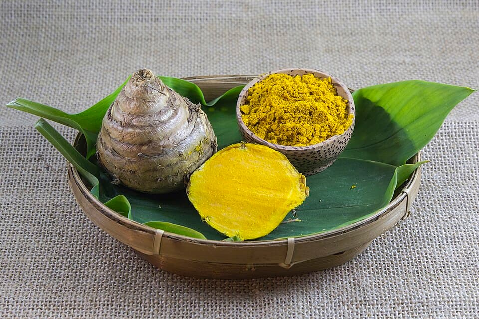 Curcuma xanthorrhiza